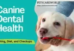 Canine Dental Health