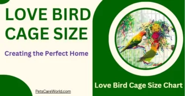 Love Bird Cage Size