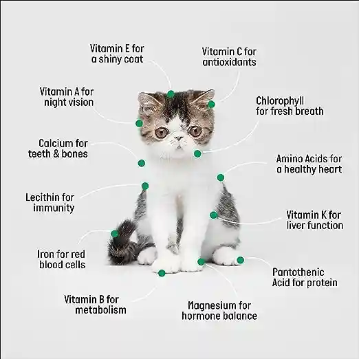 Benefits of Cat Grass