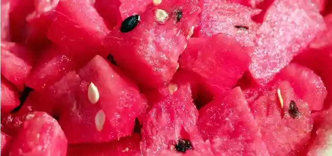 watermelon seeds safe for birds