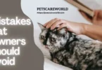 Mistakes Cat Owners Should Never Make