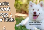 Facts About Dogs for Kids