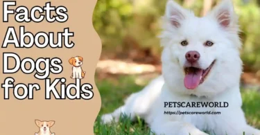 Facts About Dogs for Kids