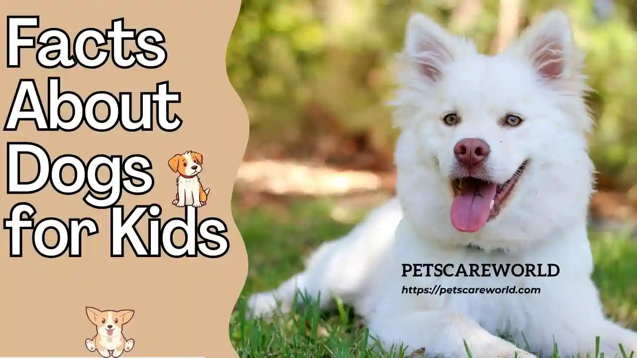 Fun Facts About Dogs For Kids 31 Amazing Facts Fun Facts About Dogs For Kids 31 Amazing Facts