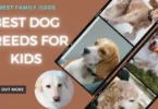 best-dog-breeds-for-kids