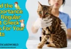 Importance Of Regular Vet Check ups For Your Pets