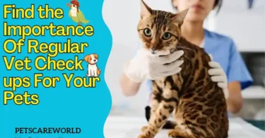 Importance Of Regular Vet Check ups For Your Pets