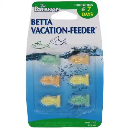 betta fish feeder