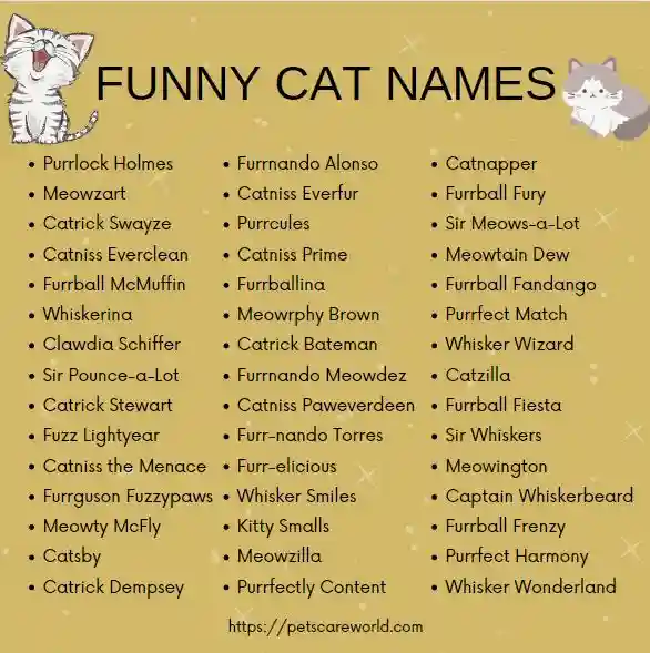 Funny Cat Names