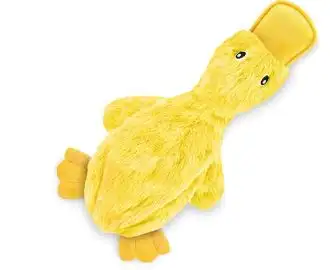 Crinkle Dog Toy