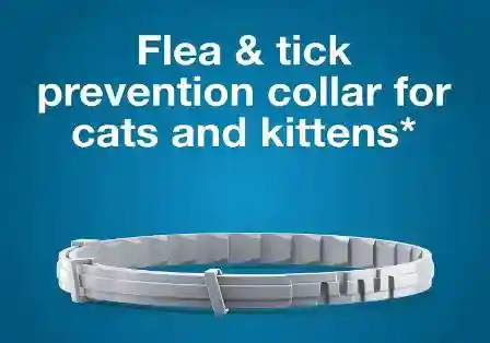 Flea Collars for Cats