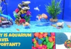 Why is aquarium gravel important