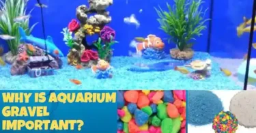 Why is aquarium gravel important
