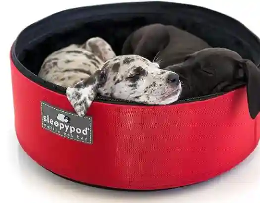 sleepypod pet bed