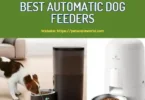 Automatic Dog Feeder