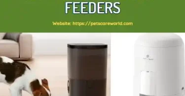 Automatic Dog Feeder