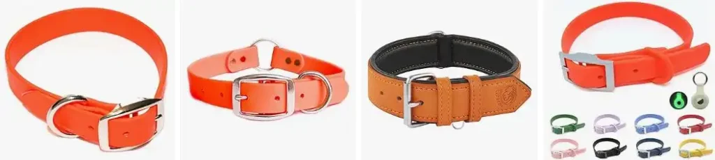 Orange dog collar colors 