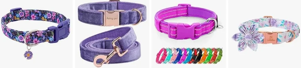 Purple dog collar colors
