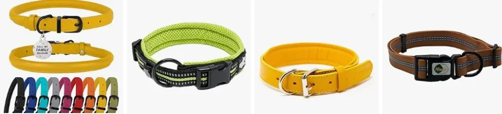 Yellow dog collar colors