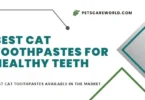 best cat toothpastes
