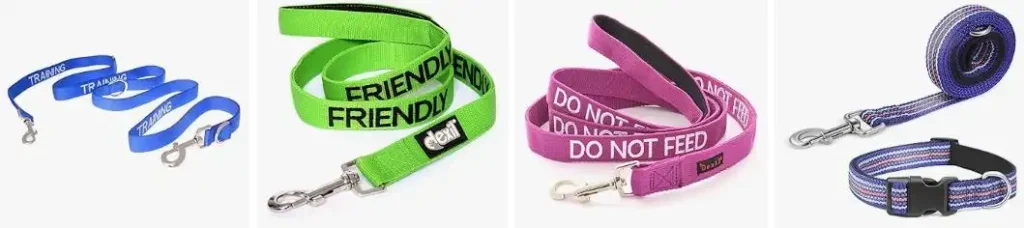 color coded dog collar