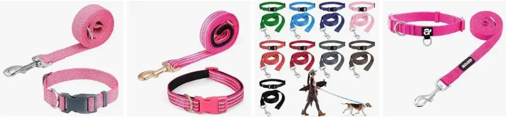 color coded dog collars