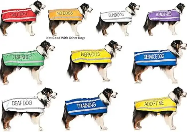 color coded dog collars meaning