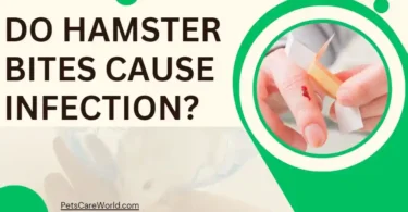 do hamster bite cause infection