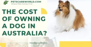 Cost of Owning a Dog in Australia