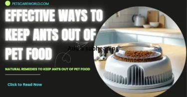 effective ways to keep ants