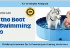 dog swimming pool