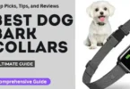 dog bark collars review