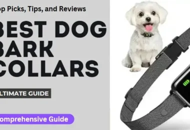 dog bark collars review