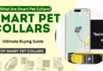 smart dog collar