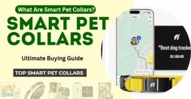 smart dog collar