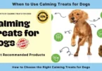 best calming treats for dogs