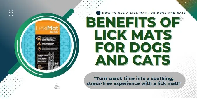benefits of lick mats
