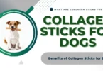 Collagen Sticks