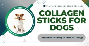 Collagen Sticks